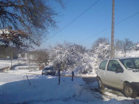 yen a ki son pa dou� pour roul� sur la glace lol