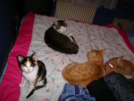 toute la troupe mank juste f�f�