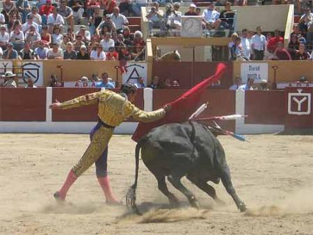 Ce jour la j'y �tait, pas a cot� de la bete ^^ mai dans les gradins, c'est ass� gore, ames sensibles s'abstenir. sinon la fete autour esta muy simpatico...