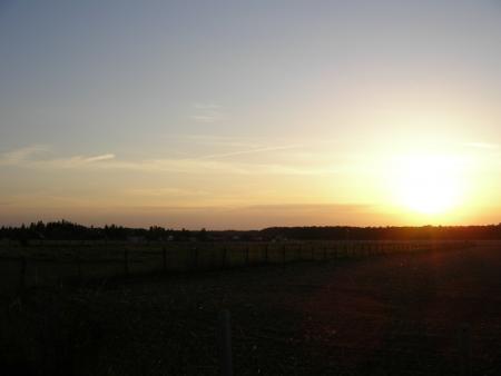 youhou la vue depuis le fon du jardin des vigers ya de lactivit� dan le coin mdr